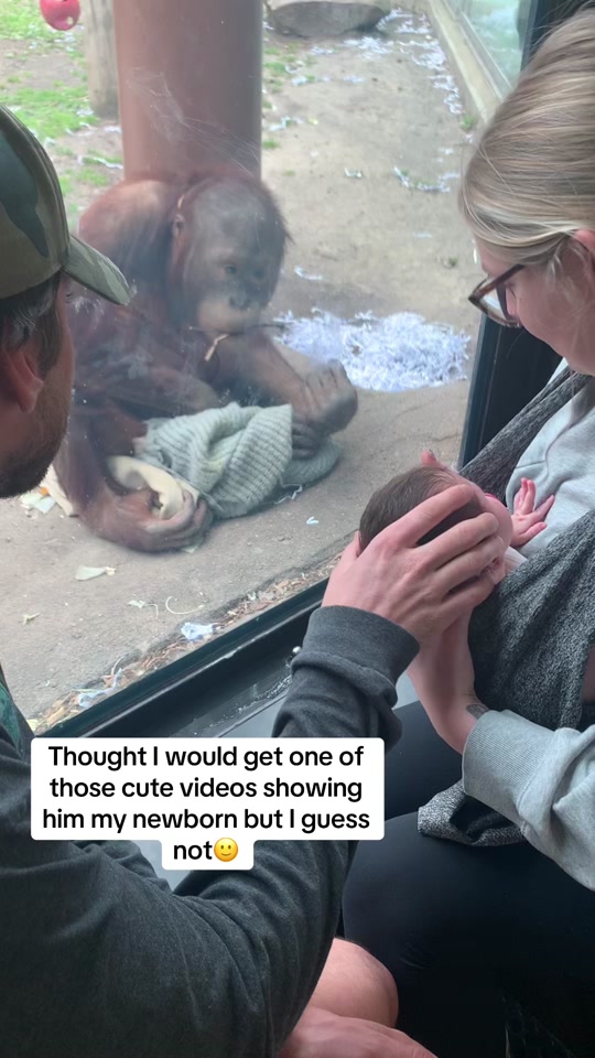 Primates man😂 thumbnail from TikTok