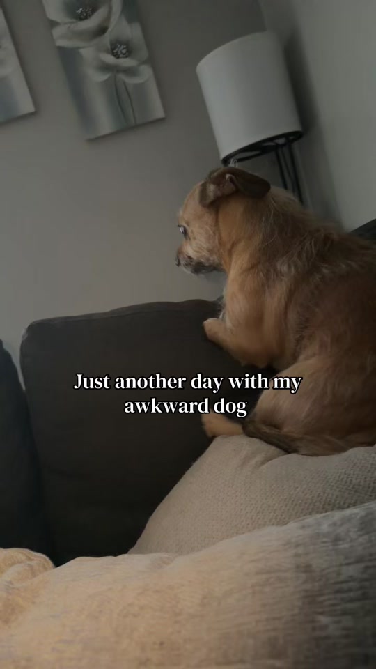 Always serving side eyes thumbnail from TikTok