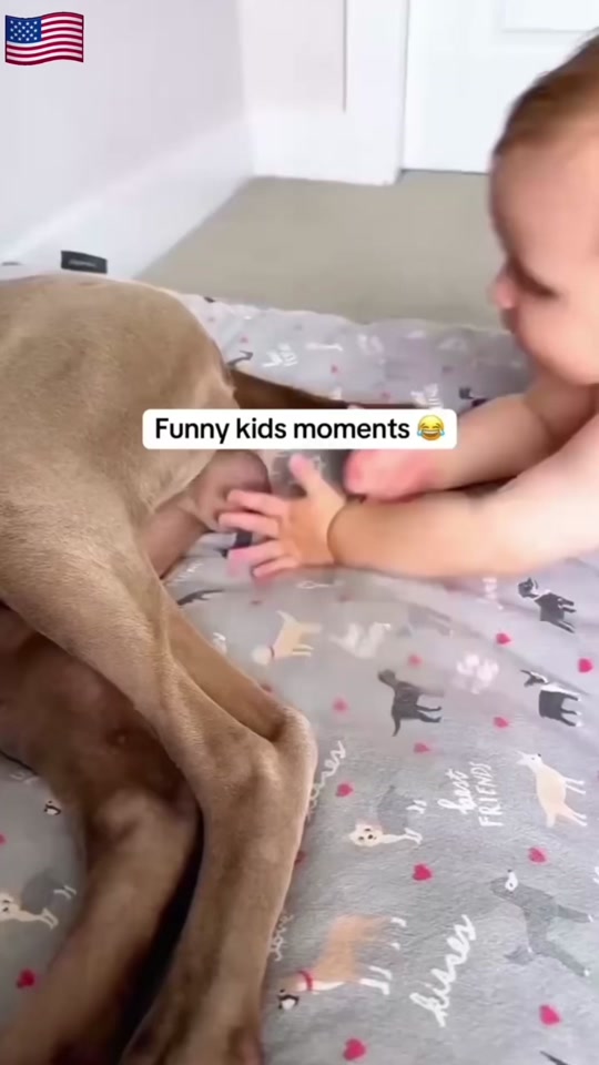 😂😂😂😂😂 thumbnail from TikTok
