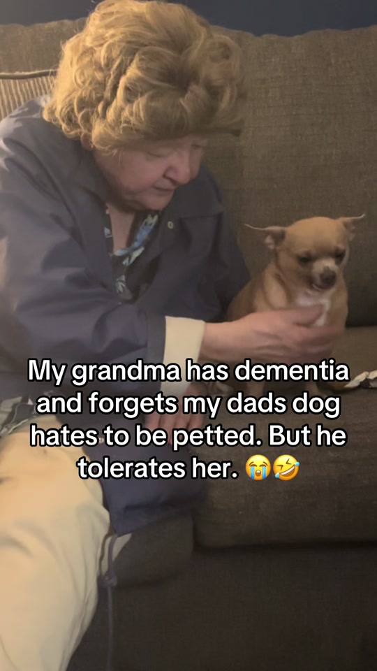 #lol #dementia #chiwawa thumbnail from TikTok
