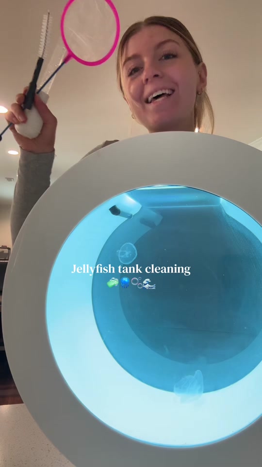 Weekly Jellyfish Tank cleaning! Took me 20 minutes today🥰🪼🫧🧼 thumbnail from TikTok