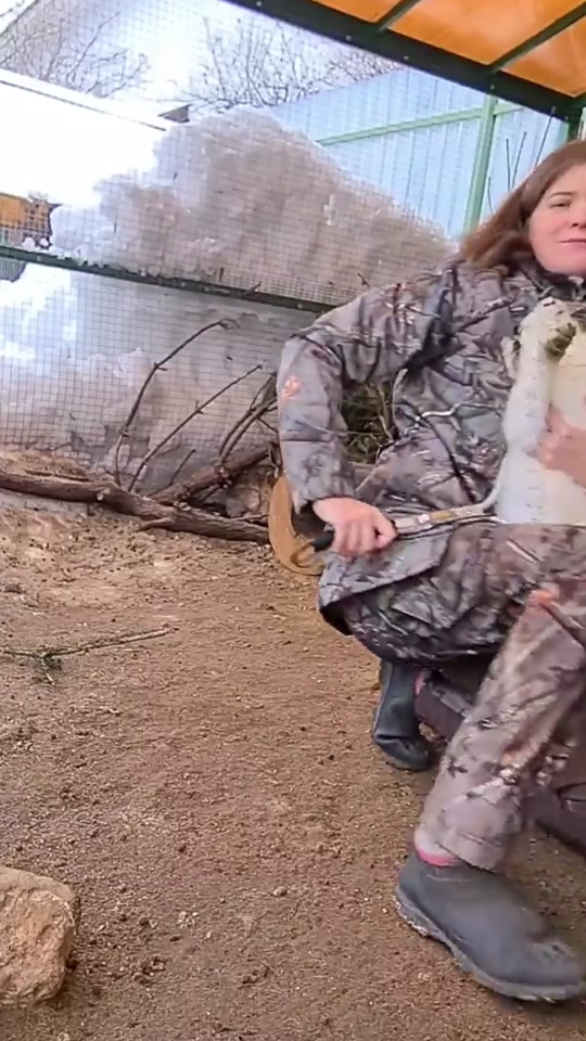 Funny rabbit thumbnail from TikTok