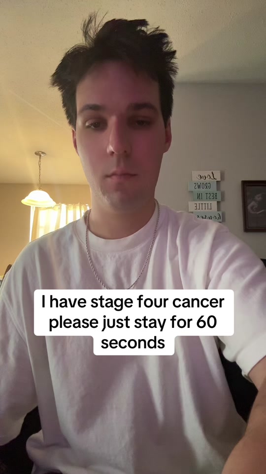 Please do all the things! thumbnail from TikTok