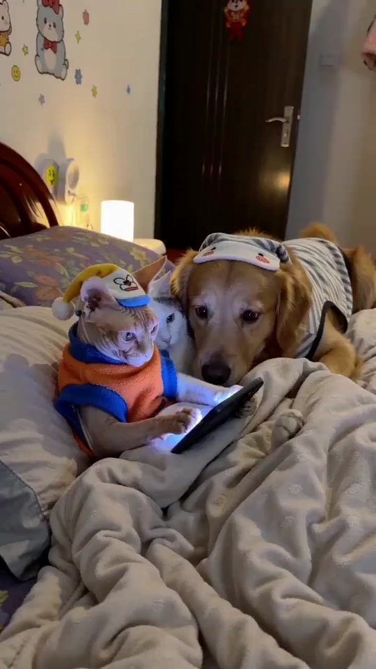created by Fifi with Fifi’s original sound thumbnail from TikTok