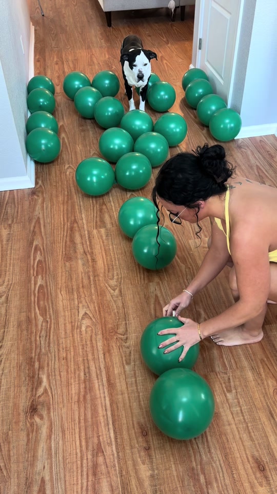Prep my next balloon wall with meeee🎶 Who’s ready for the reveal?🌴 thumbnail from TikTok