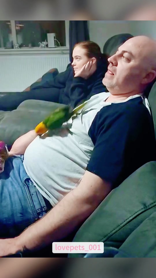 Smart Parrots.🤣🤣🤣 thumbnail from TikTok
