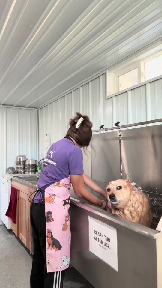 Brandy: unbothered, moisturized, thriving 💅🏼🛁 thumbnail from TikTok