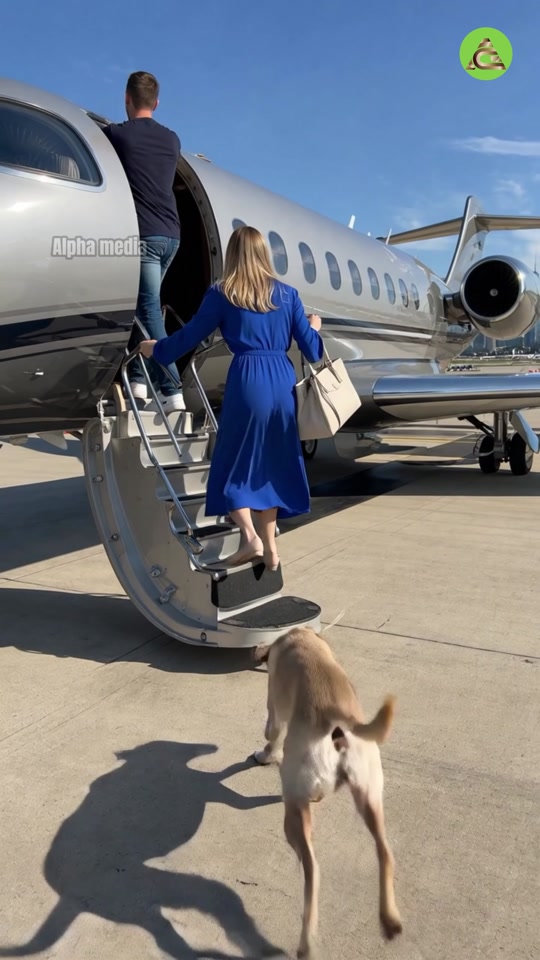 At a busy airport…  A woman stood ready to board her flight—everything seemed normal.  Passengers moved, announcement... thumbnail from TikTok