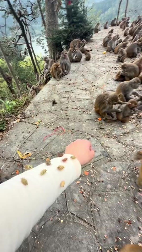 created by kaka123 with kaka123’s original sound thumbnail from TikTok