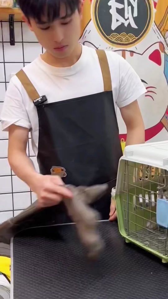 #🛁🚿 #cleaning #foryou #need #tiktok thumbnail from TikTok