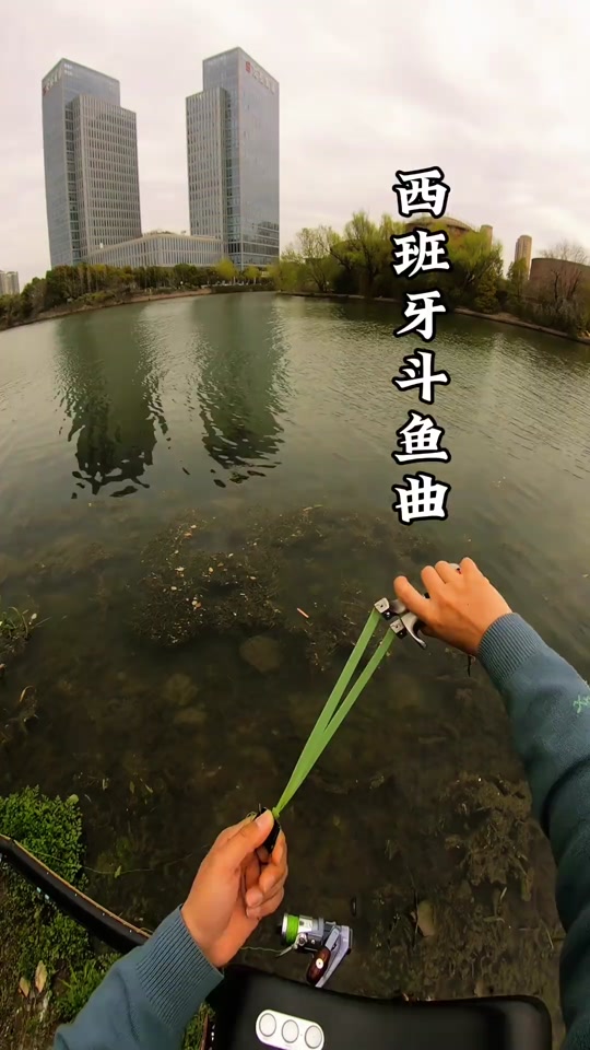 Fish and music thumbnail from TikTok