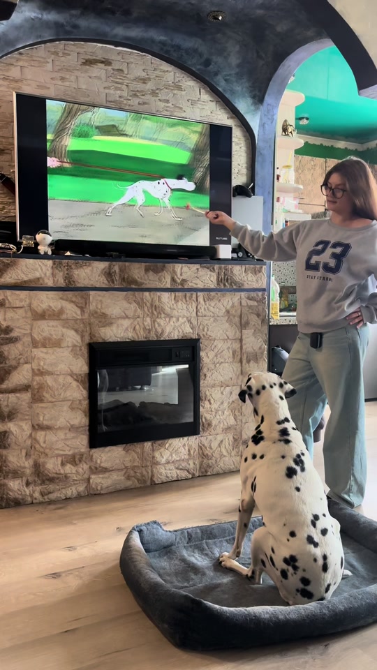 Ну ряльно 🐶 thumbnail from TikTok