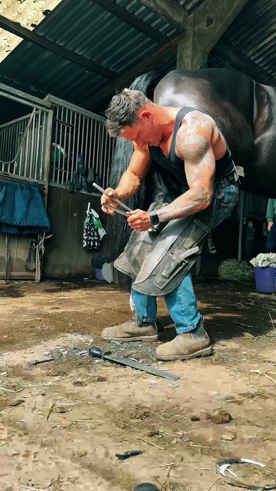 #hoofcare #hoofcleaning #horses #horse #farrier thumbnail from TikTok