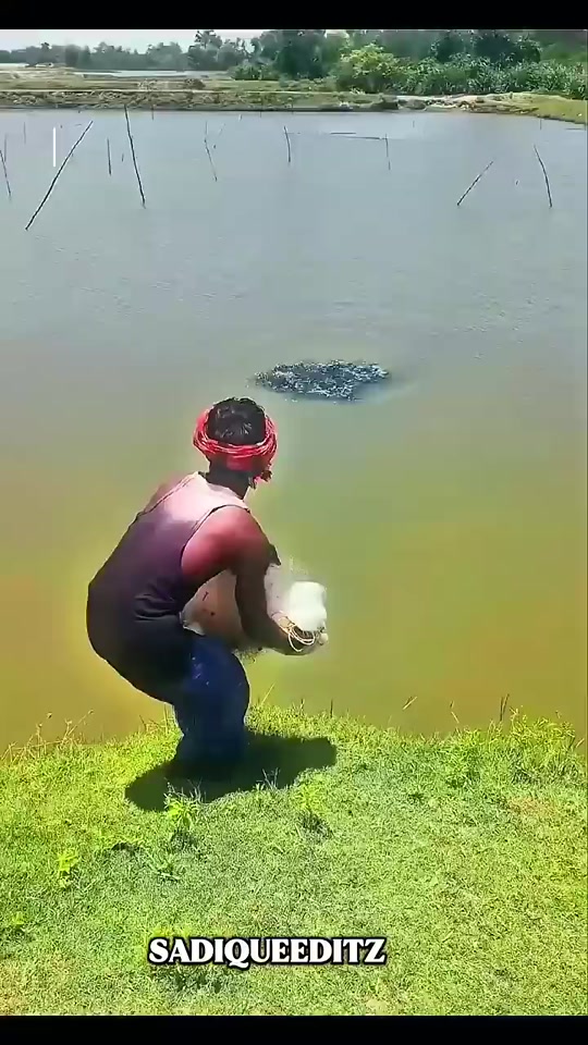 # thumbnail from TikTok