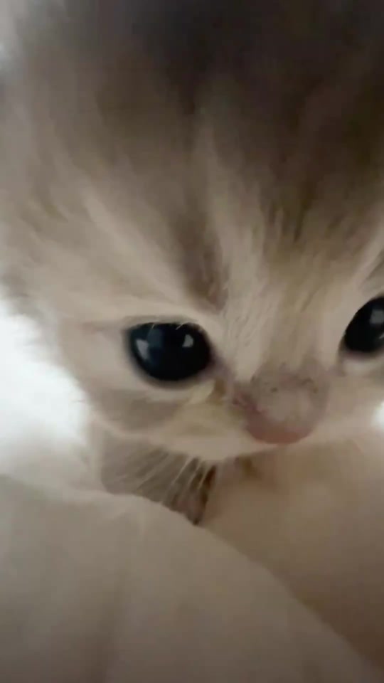 🥹 thumbnail from TikTok