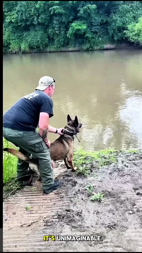 #dogsoftiktok #k9unit #k9softiktok #doglover #dog thumbnail from TikTok