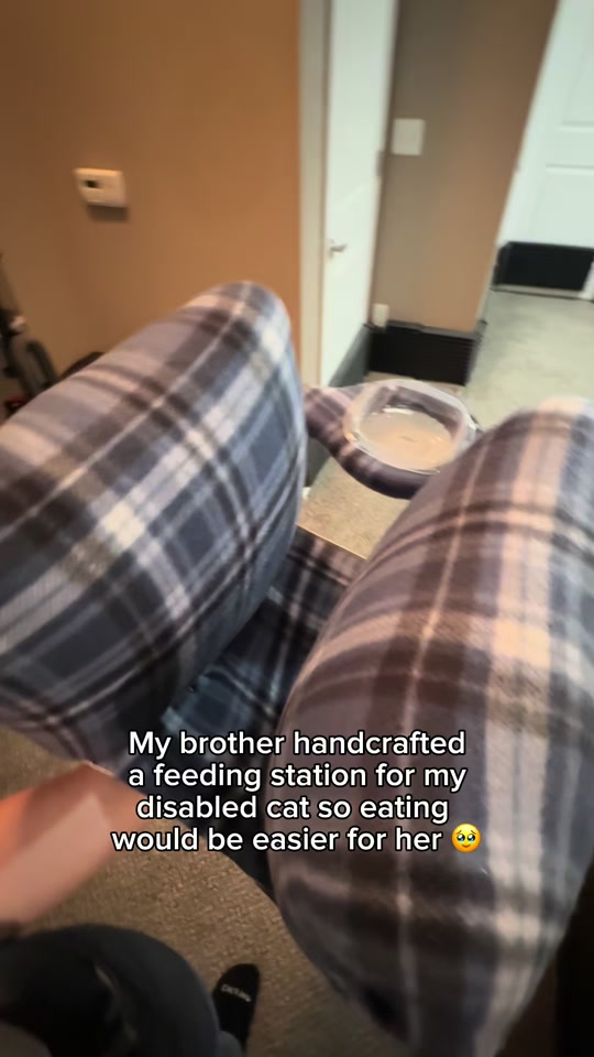 The most wholesome thing you’ll see today 🥹 thumbnail from TikTok