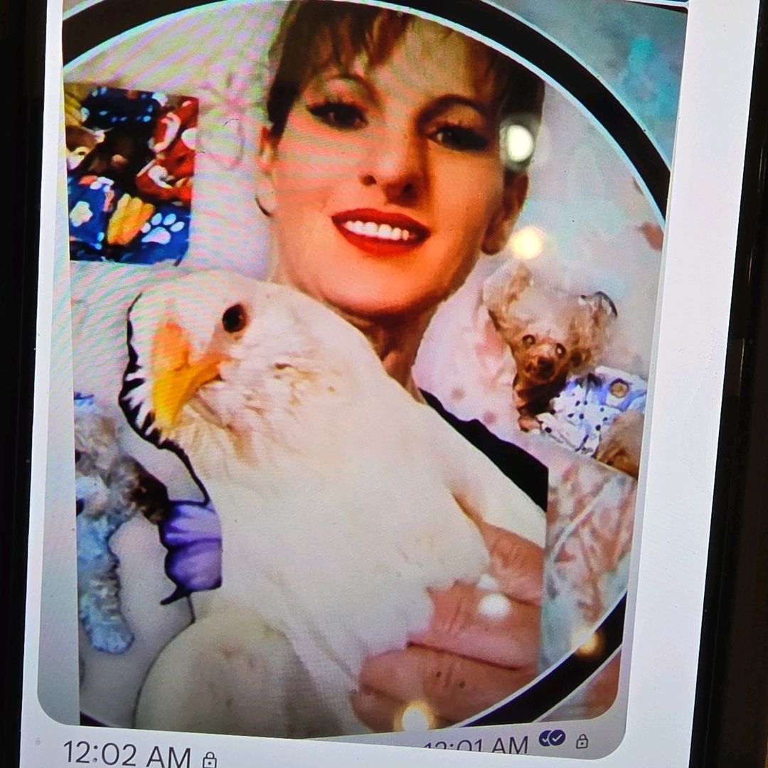 Debra channel avatar