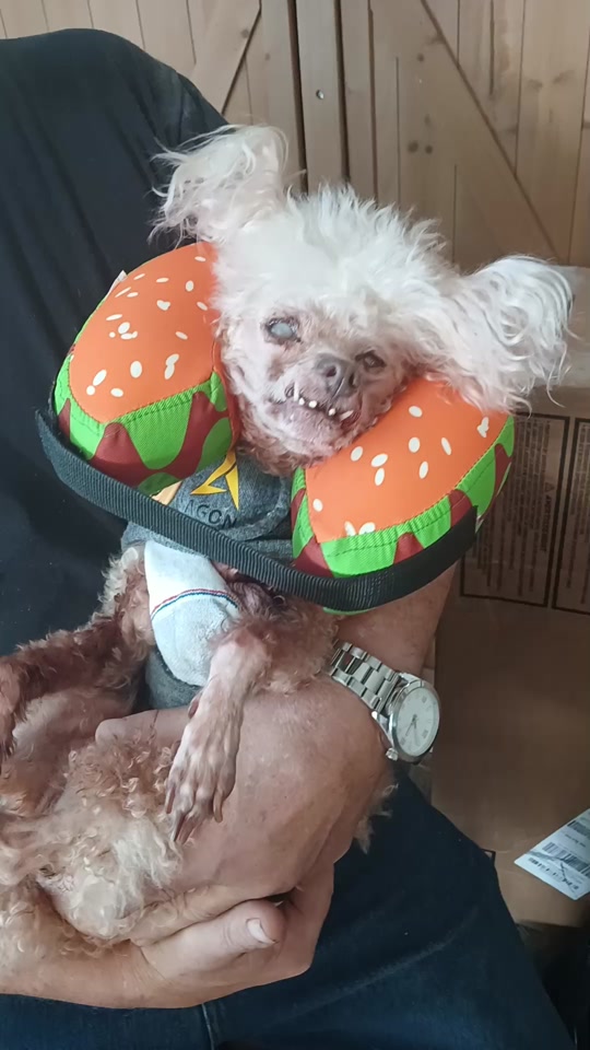 created by Debra with Debra’s original sound thumbnail from TikTok
