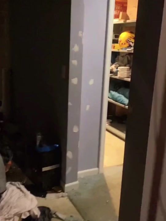 Funny Duck 🦆 thumbnail from TikTok