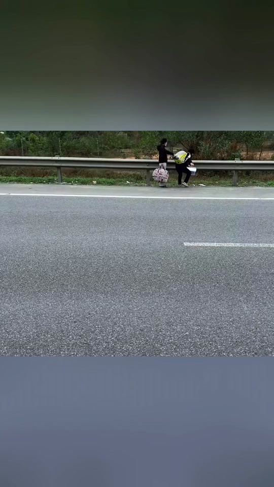 Rescue a family of cats on the road thumbnail from TikTok