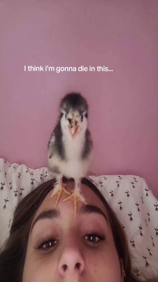 Im sorry I had to post it to this sound the other one didnt fit as good. im okay guys! thumbnail from TikTok