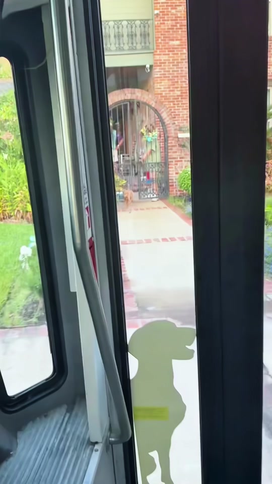 It's not just daycare -it's his happy place. thumbnail from TikTok