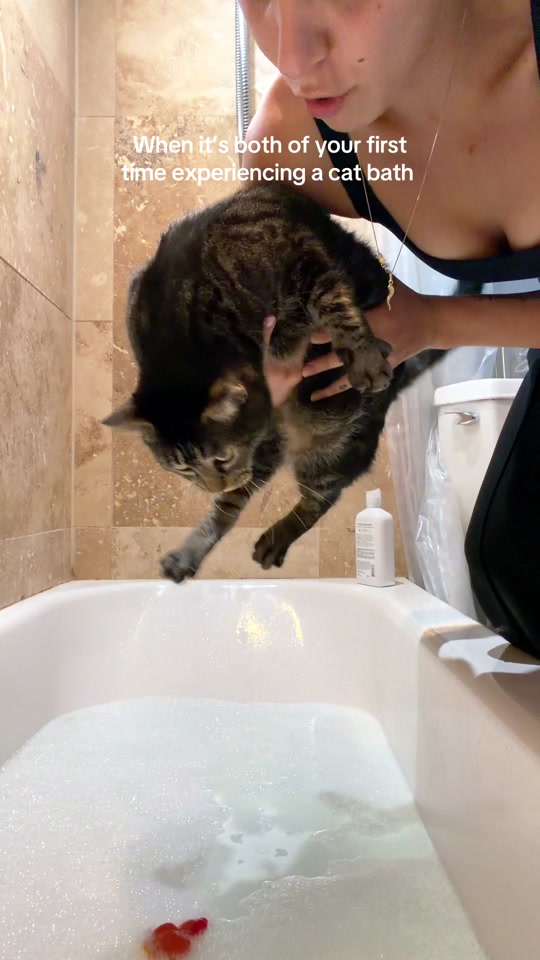 Cats hate taking baths. thumbnail from TikTok