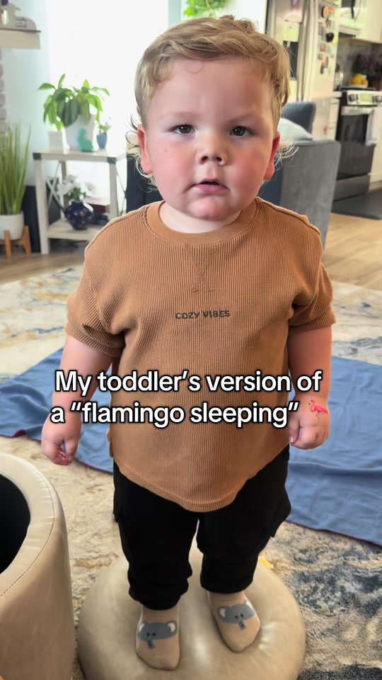 The cutest flamingo I’ve ever seen! 🦩 thumbnail from TikTok