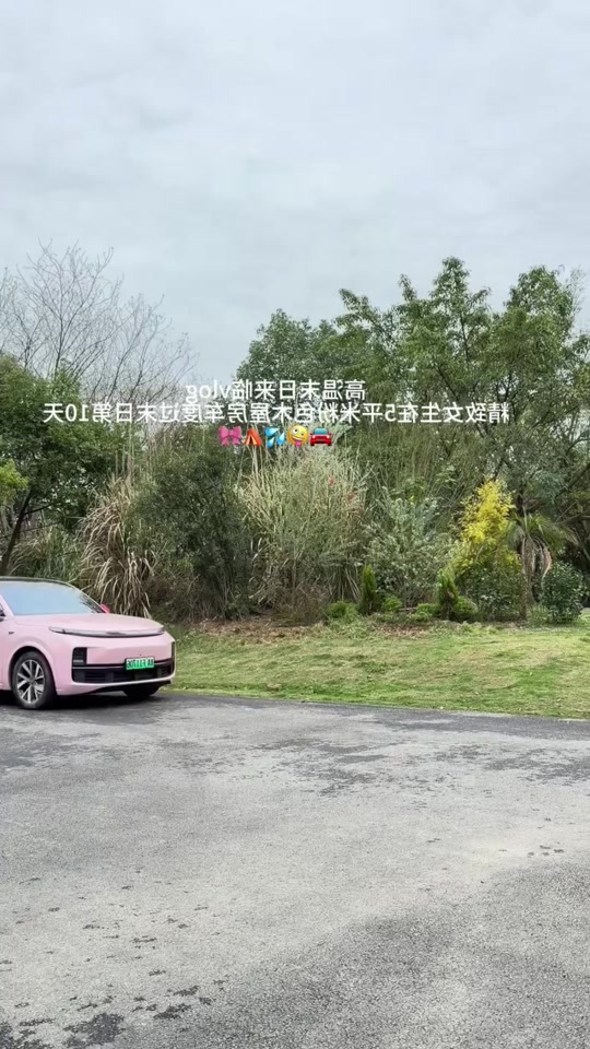 Pink wooden cabin 🏡 RV 🚗 thumbnail from TikTok