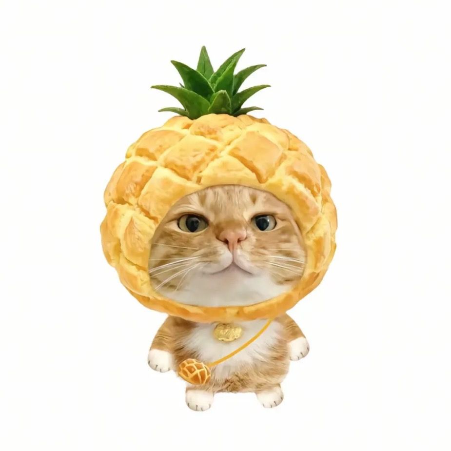 Pineapple Kitty channel avatar