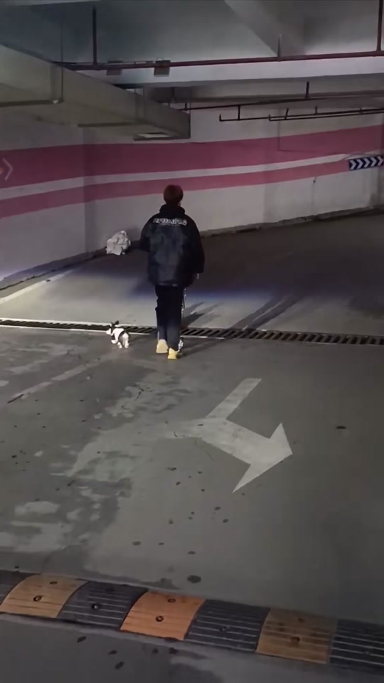 Dog time thumbnail from TikTok