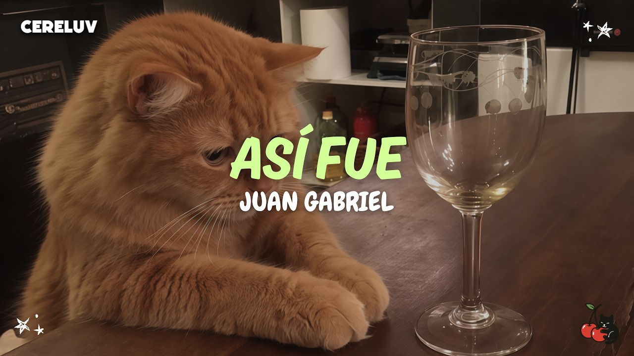 Juan Gabriel - Así Fue (Letra) thumbnail from YouTube