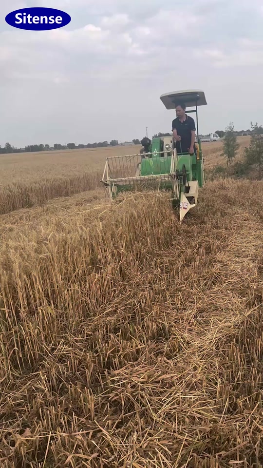 Working Effect of Mini Crawler Rice and Wheat Harvester Machine thumbnail from TikTok