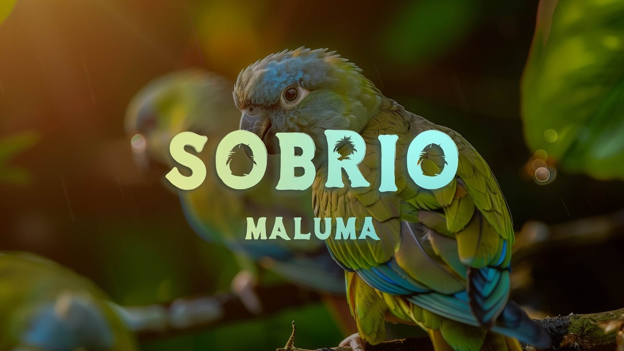 Maluma - Sobrio (Lyrics/Letra) thumbnail from YouTube