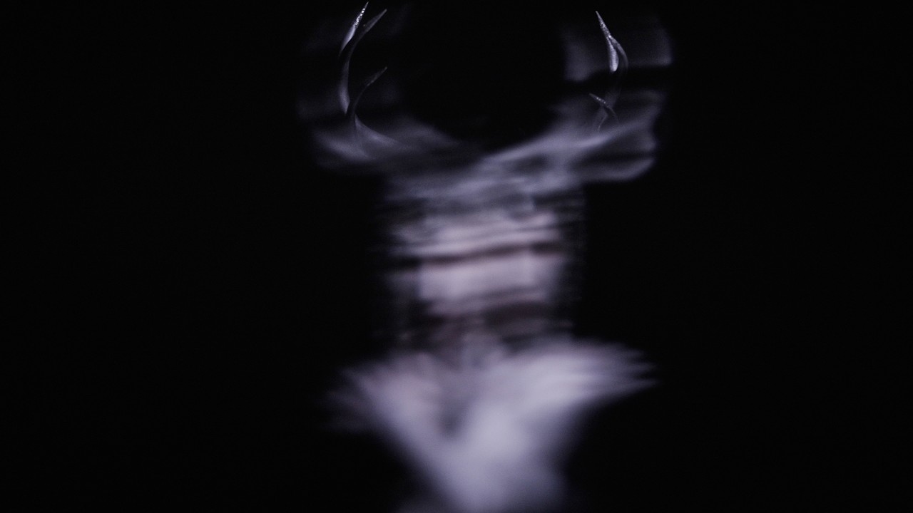 Marilyn Manson - Unalive (Music Video) thumbnail from YouTube