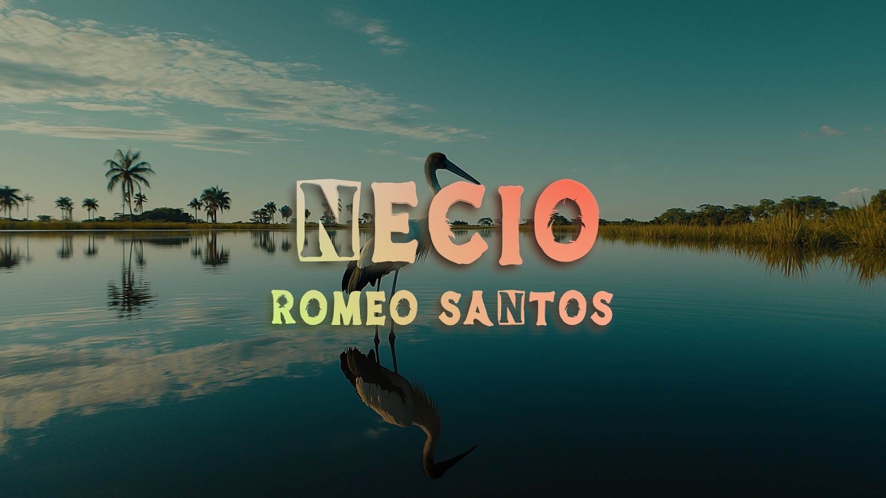 Romeo Santos - Necio ft. Santana (Lyrics/Letra) thumbnail from YouTube