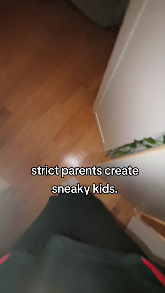 satire clip thumbnail from TikTok
