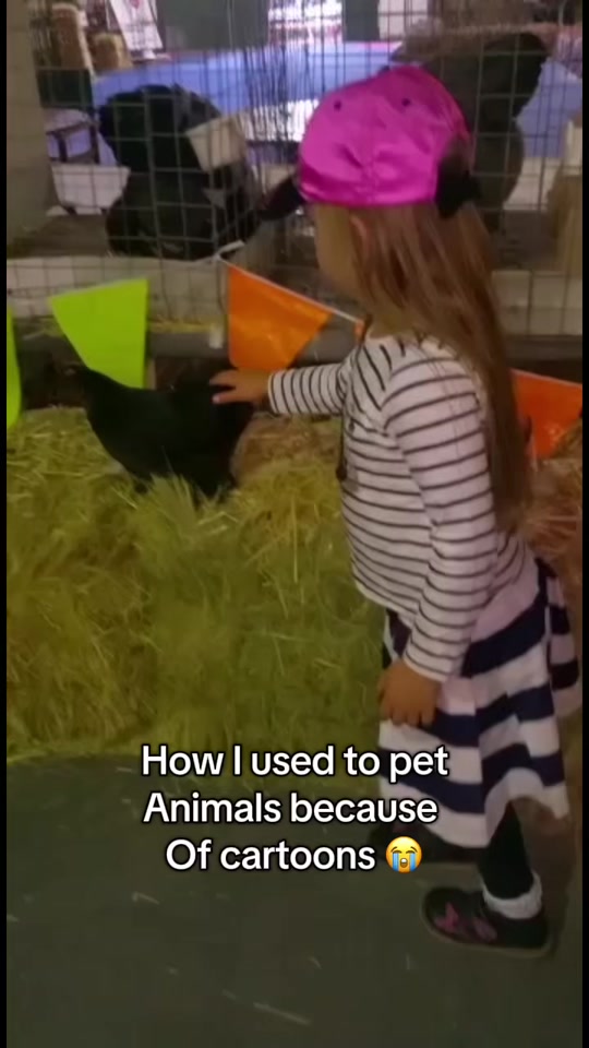 #catroon #fyppppppppppppppppppppppp #viral #funny #foyou thumbnail from TikTok