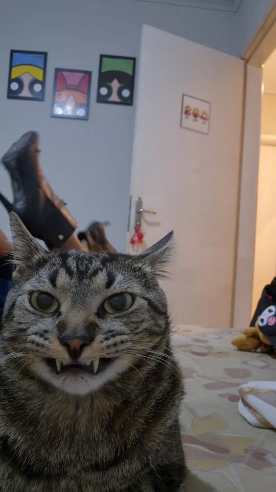 😃😃😃👹 thumbnail from TikTok