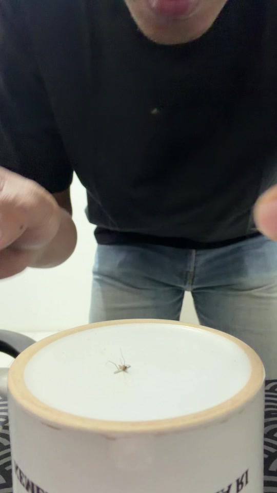 Saatnya bales dendam thumbnail from TikTok