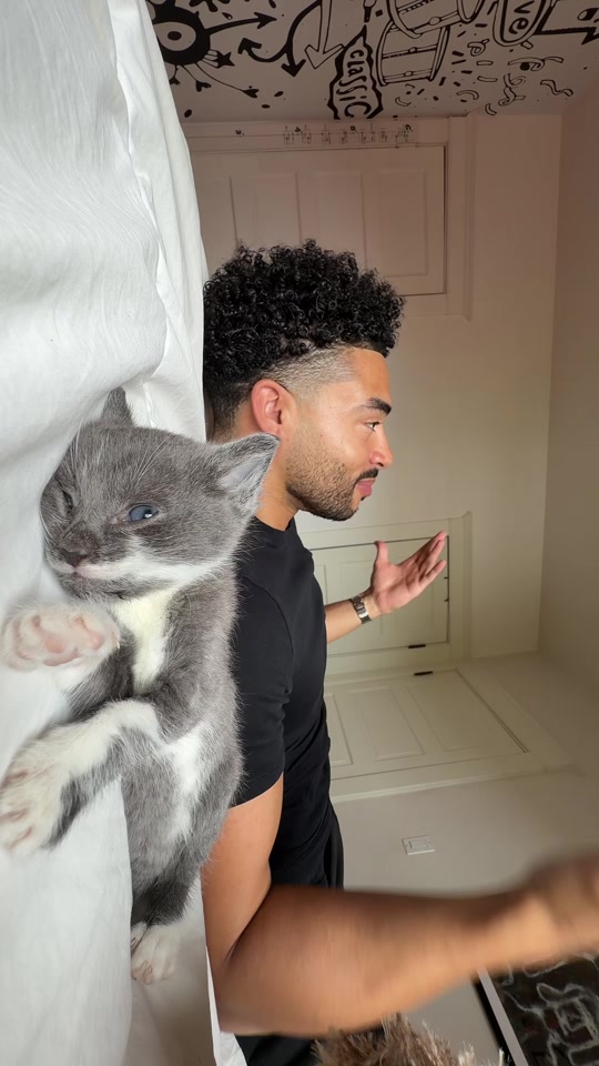 TikTok video by itsdondada thumbnail from TikTok