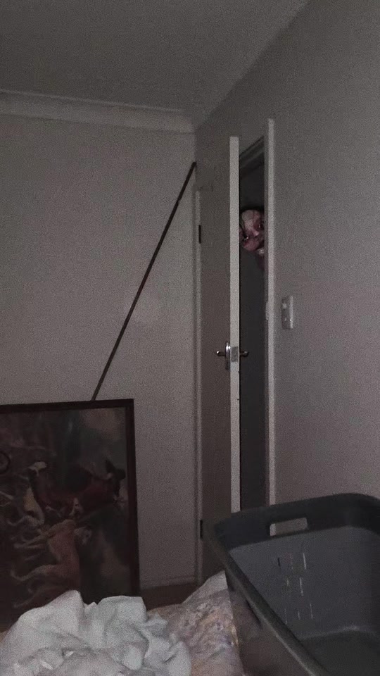 I woke up late at night, something was watching me.... thumbnail from TikTok