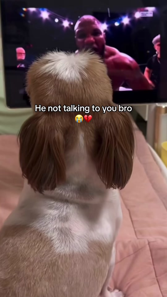 Rage baited by a screen 😭💔 || thumbnail from TikTok