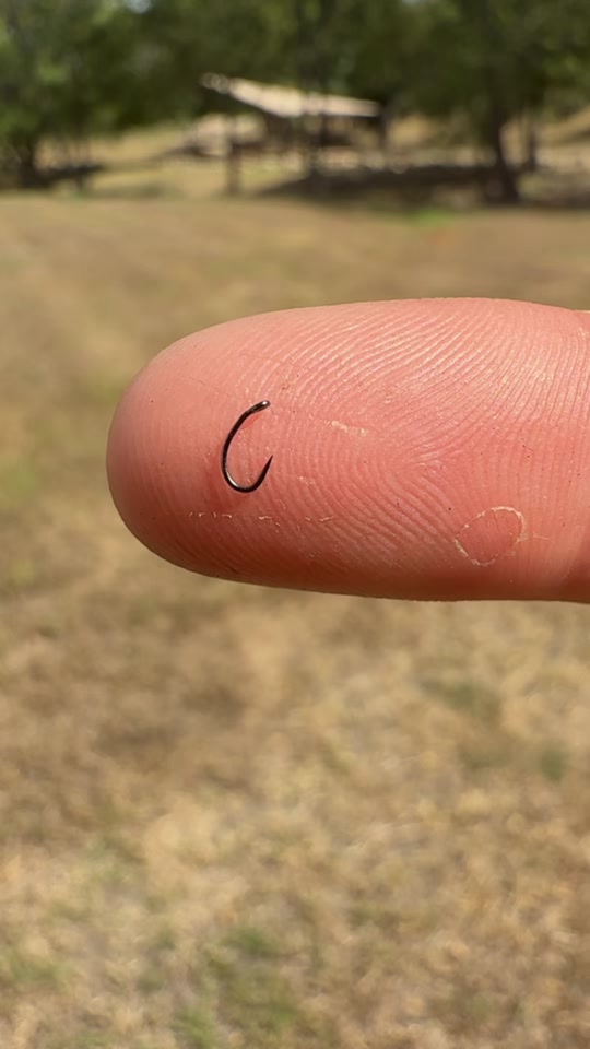 TRYING TO CATCH A FISH ON THE WORLDS SMALLEST HOOK 🤏🪝 thumbnail from TikTok