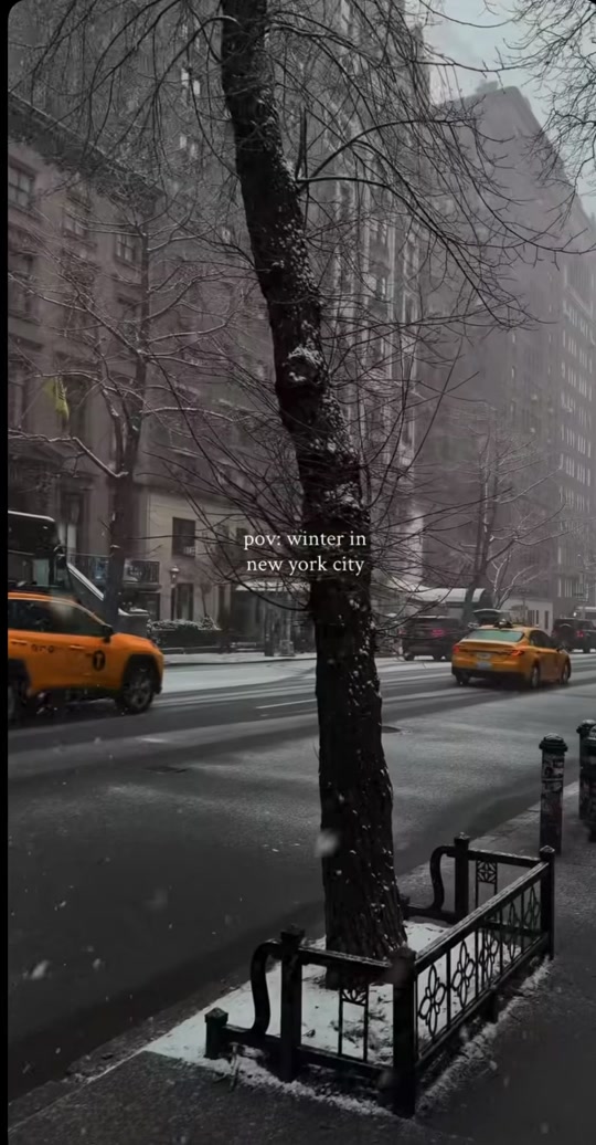 POV: You’re planning the ultimate NYC winter trip 🗽❄️🎄 ✨ Rockefeller Center Christmas Tree 🎁 Bryant Park Winter Vi... thumbnail from TikTok