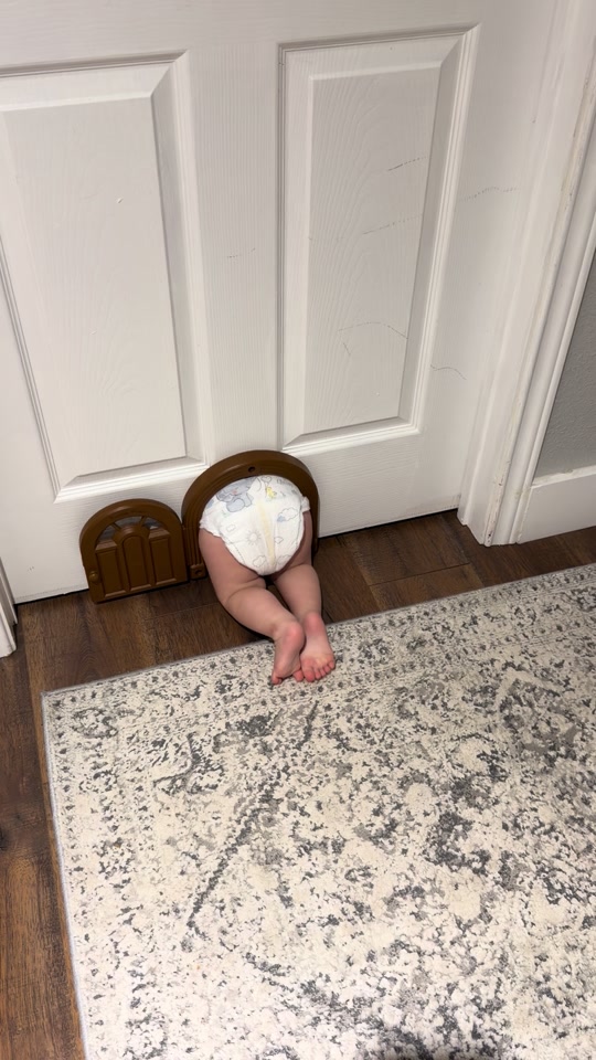 Conway vs the cat door🤣 brother Cash was so sweet trying to come help him💙 thumbnail from TikTok
