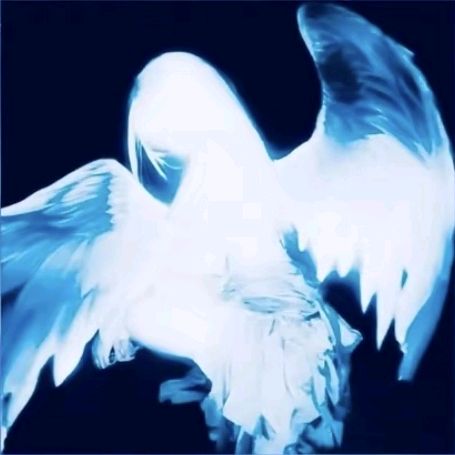 ♪◌˙ ｡꒷ ⛸️｡ 𖦹˙—٭ channel avatar