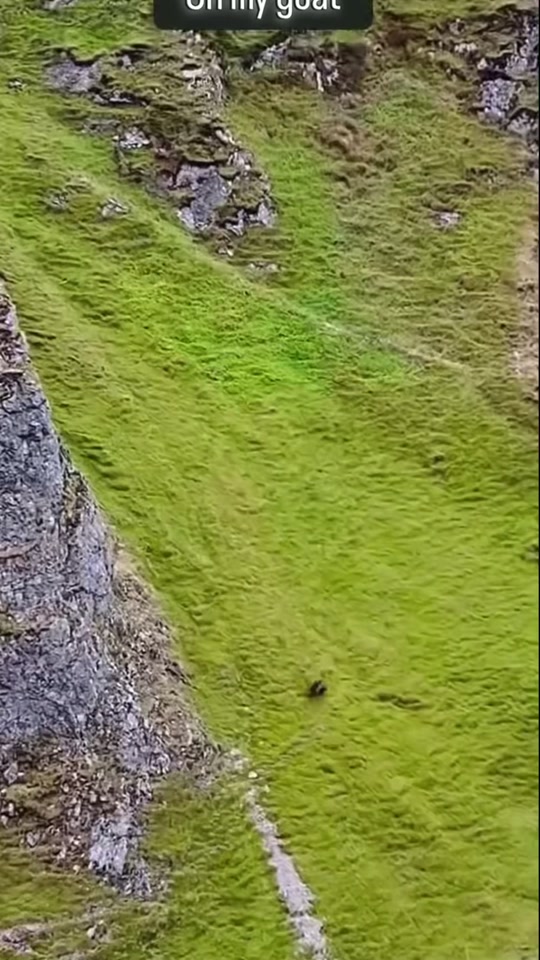 TikTok video by . thumbnail from TikTok