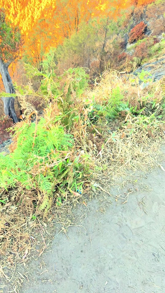Test kecerahan hp kalian 60fps vision metode# thumbnail from TikTok